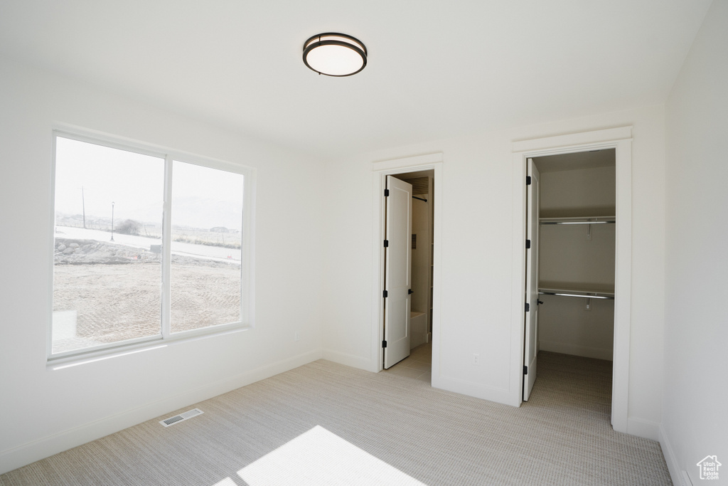 Unfurnished bedroom featuring multiple windows, light carpet, a spacious closet, and baseboards