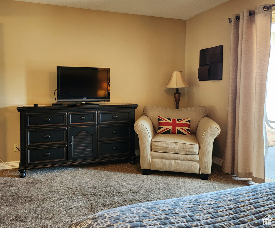 Sitting room with light carpet