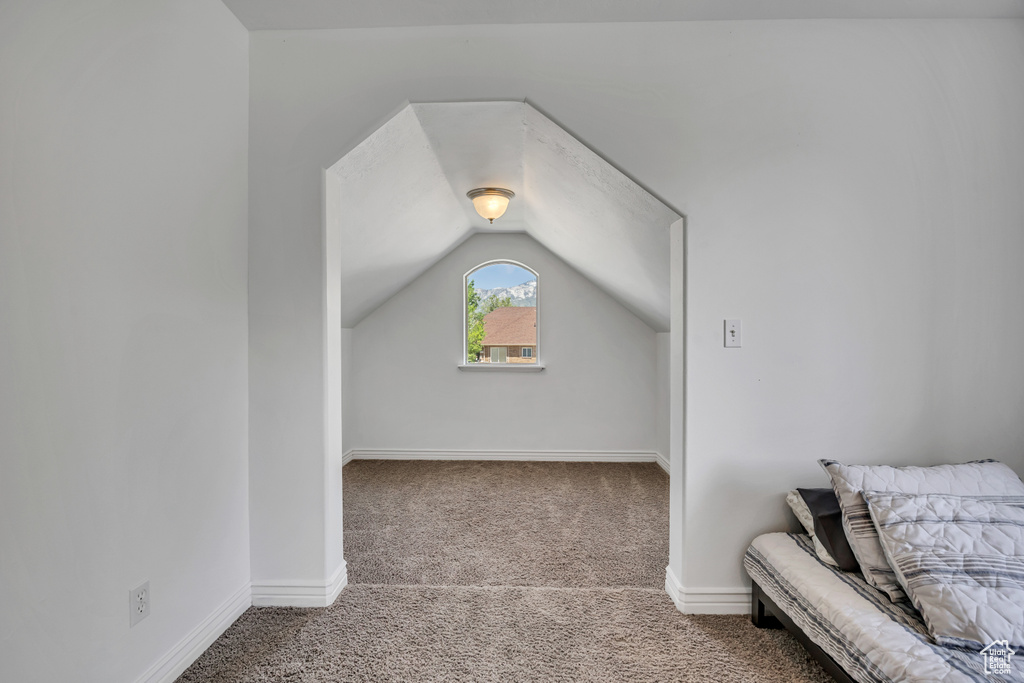 Additional living space with carpet, lofted ceiling, and baseboards