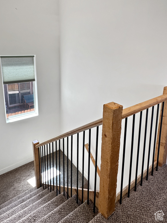 Stairs with carpet floors and baseboards