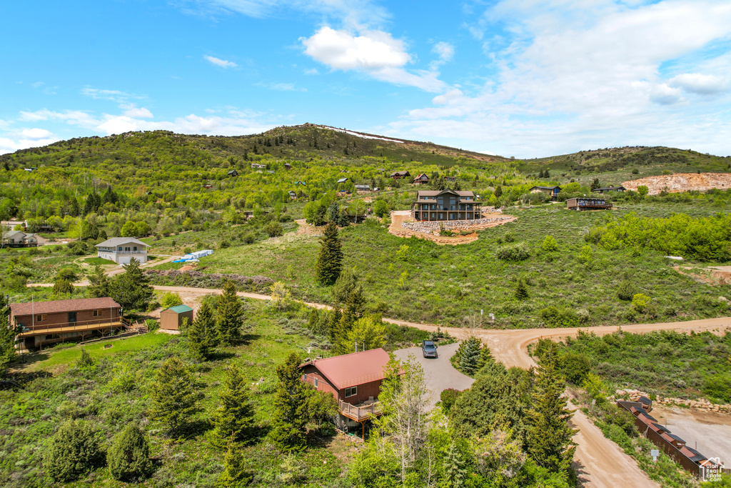 Bird's eye view of a mountain backdrop