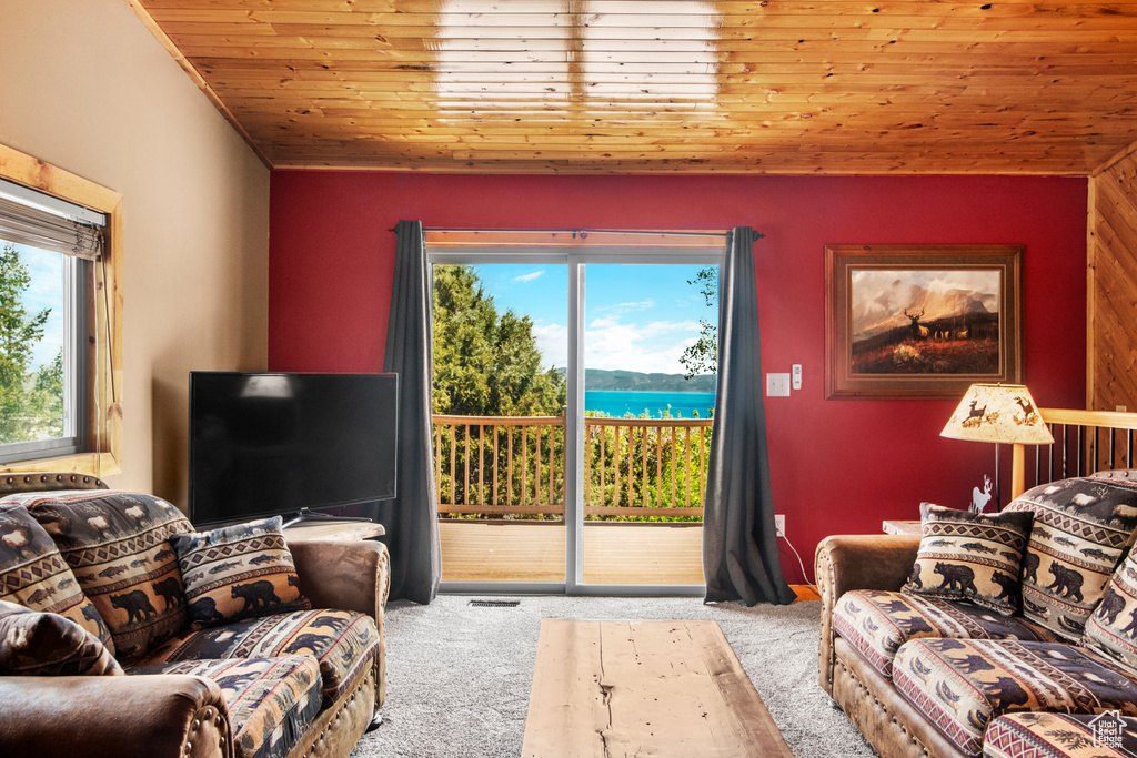 Living room featuring carpet flooring and wood ceiling