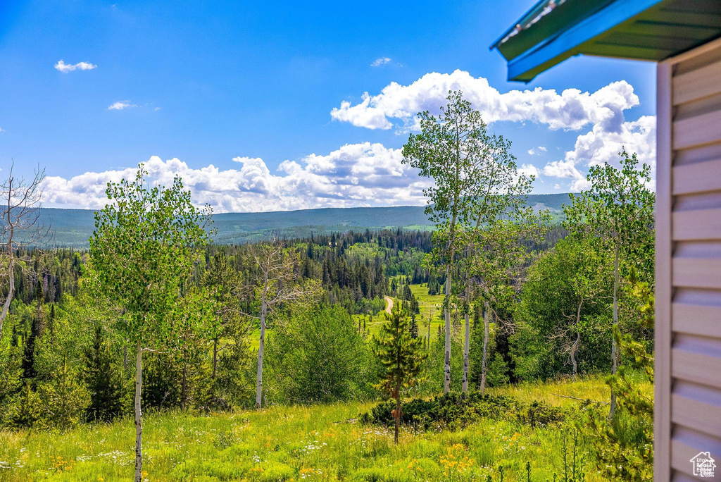 View of mountain background with a forest