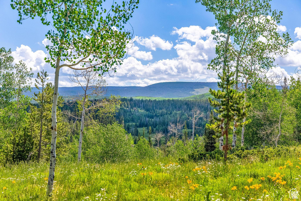 View of mountain backdrop featuring a heavily wooded area