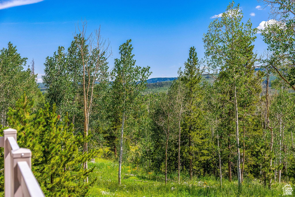 Mountain view featuring a heavily wooded area