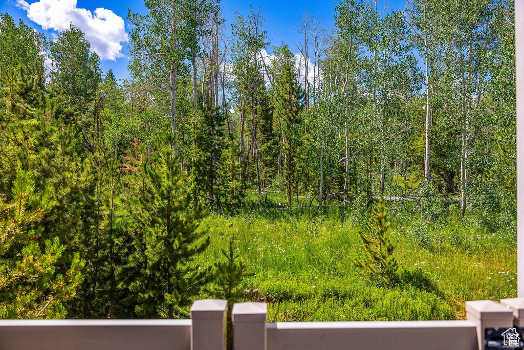 View of yard featuring a wooded view