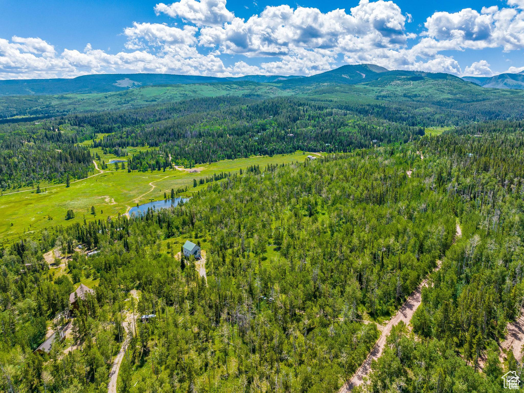 Aerial view of a forest and a mountain backdrop