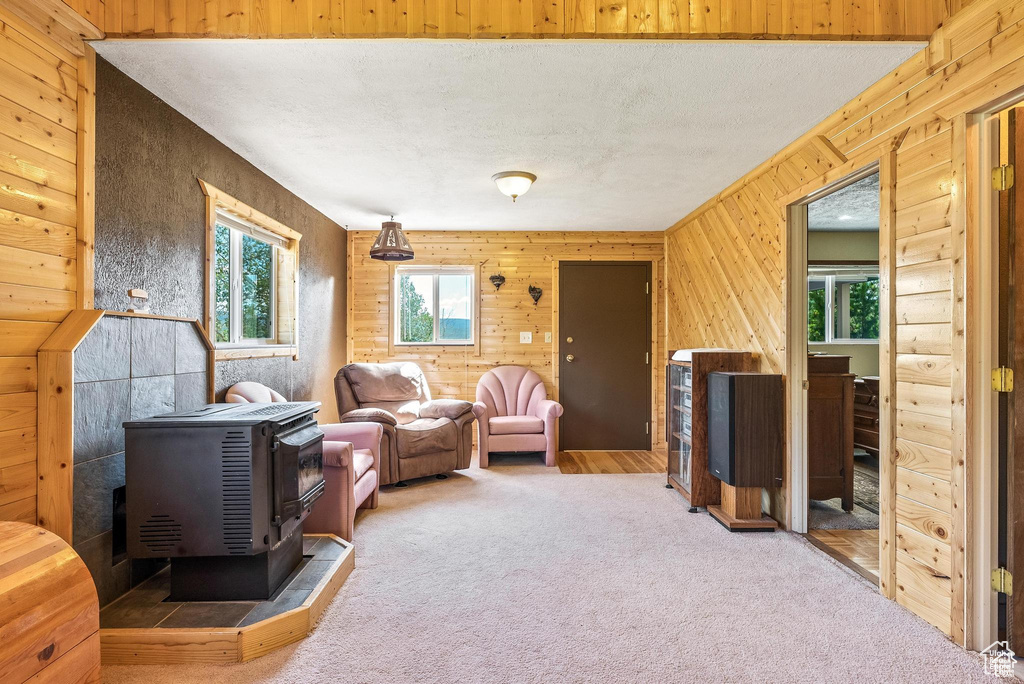 Living room with a wood stove, carpet flooring, and wooden walls