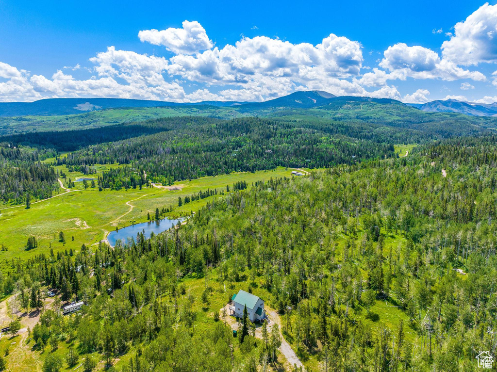 Drone / aerial view of a forest and a water and mountain view