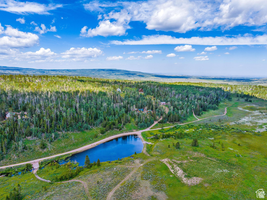 Bird\\\'s eye view of a forest and a large body of water