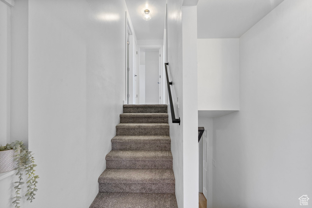 View of stairway