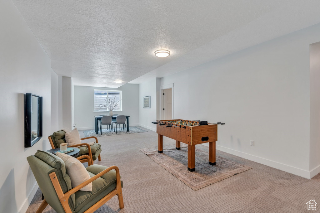 Recreation room featuring light carpet, baseboards, and a textured ceiling