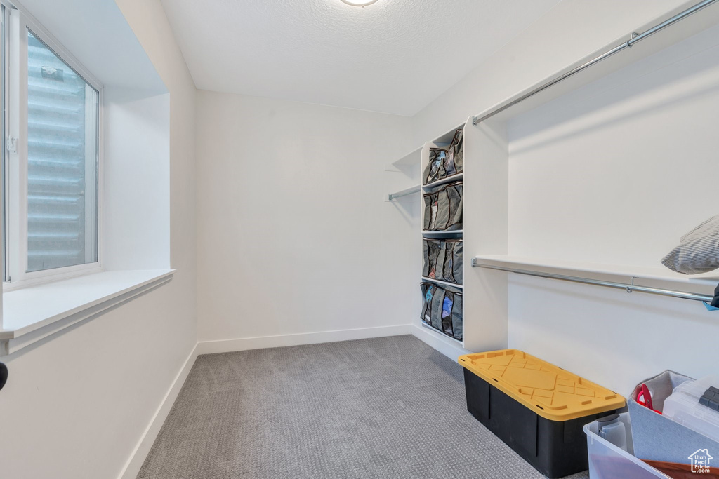 Spacious closet with carpet floors