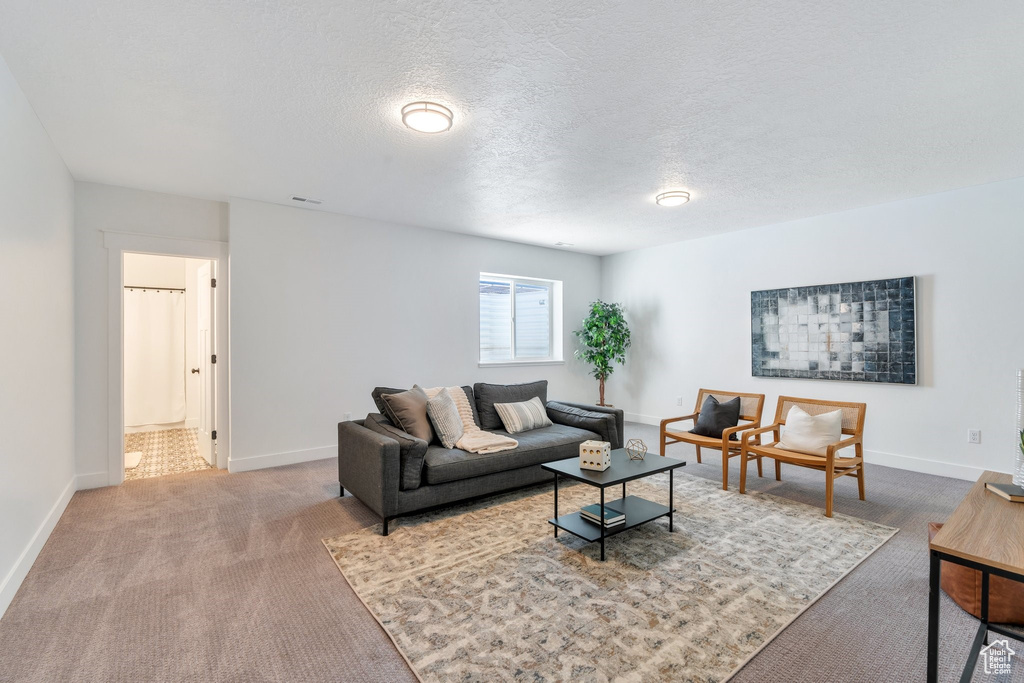 Carpeted living room with baseboards and a textured ceiling