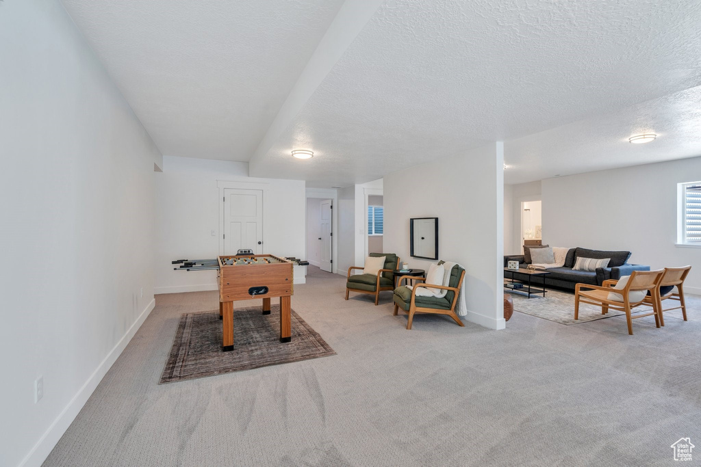 Rec room with carpet flooring, baseboards, and a textured ceiling