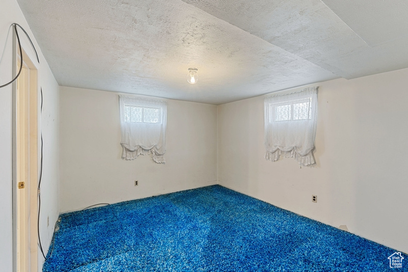 Basement featuring carpet flooring and a textured ceiling