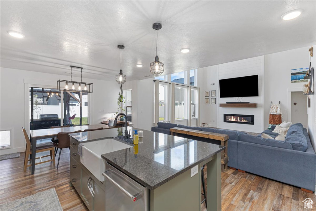 Kitchen featuring a sink, stainless steel dishwasher, a glass covered fireplace, wood finished floors, and recessed lighting