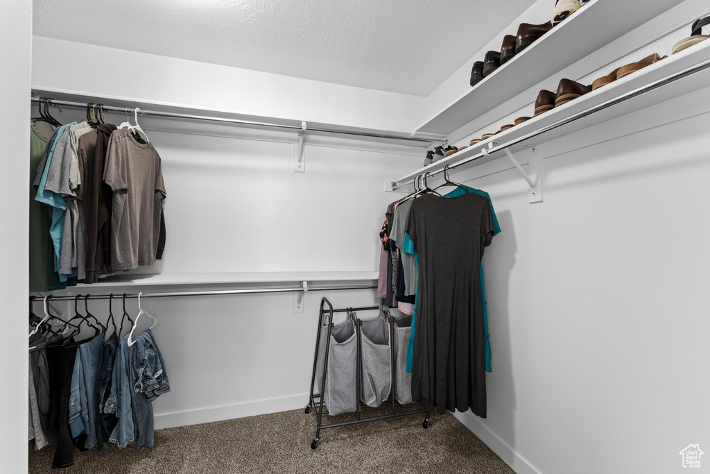 Spacious closet featuring carpet