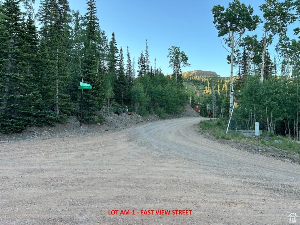 View of dirt / gravel road featuring a mountain view