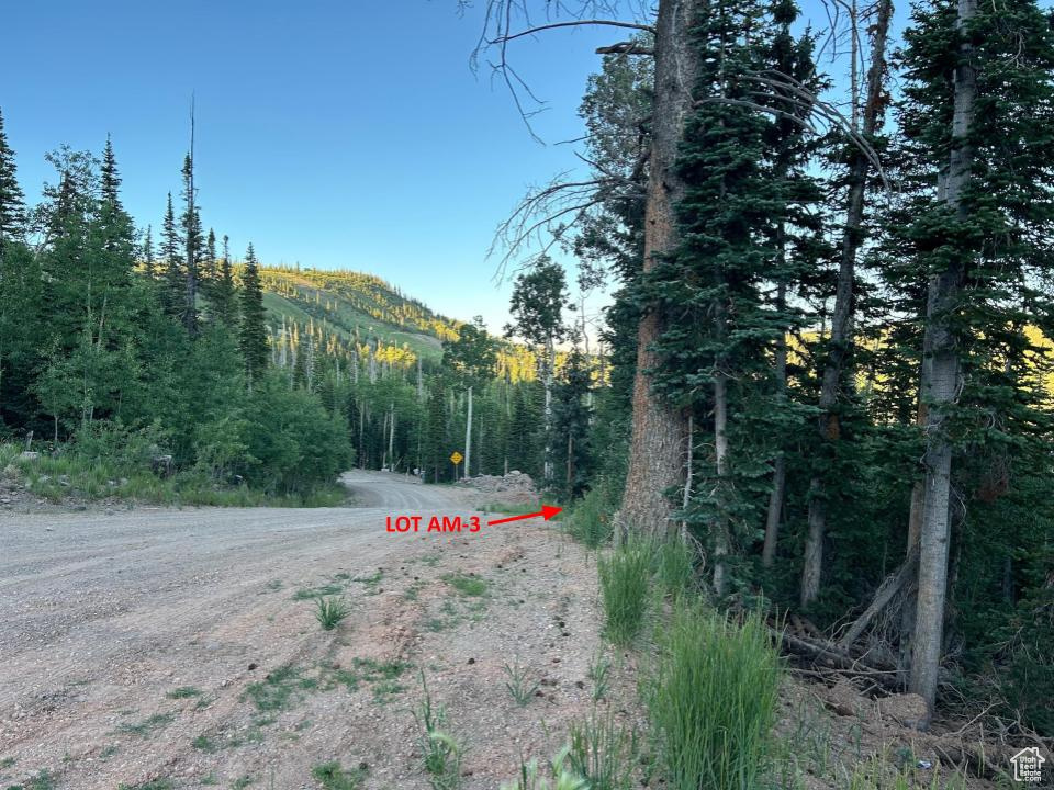 View of dirt / gravel road with a mountain view and a forest view