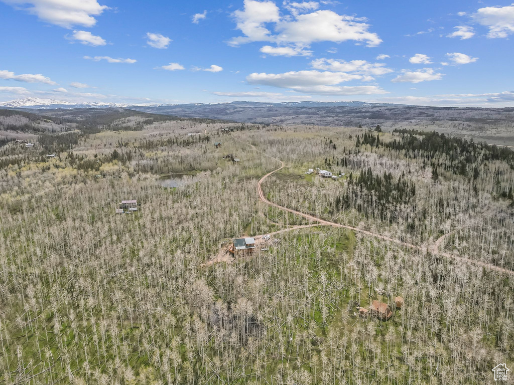 Aerial view of mountains and a heavily wooded area