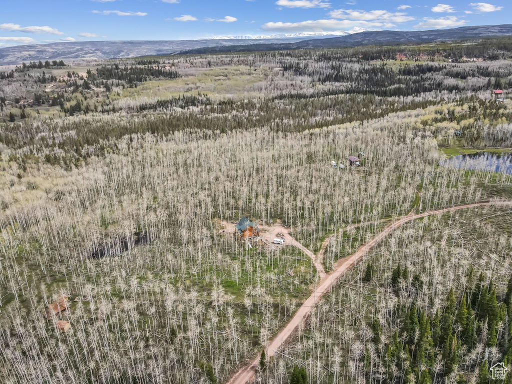 Aerial view of property and surrounding area with a heavily wooded area and a mountainous background