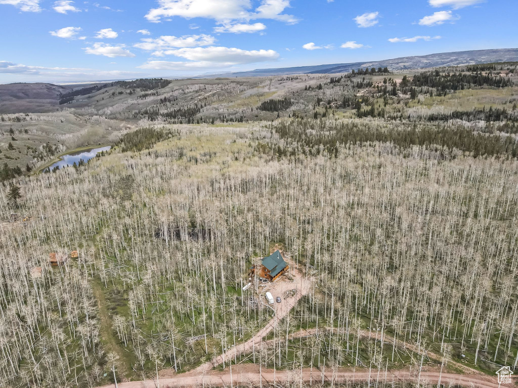 Bird's eye view of a water and mountain view
