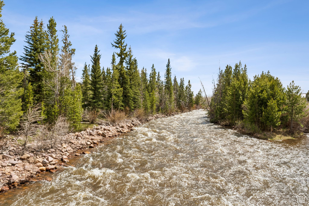 View of nature