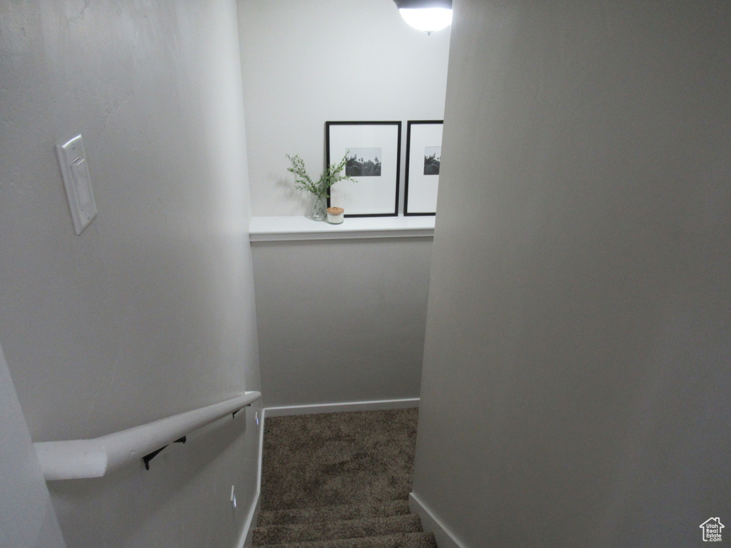 Staircase featuring carpet and baseboards
