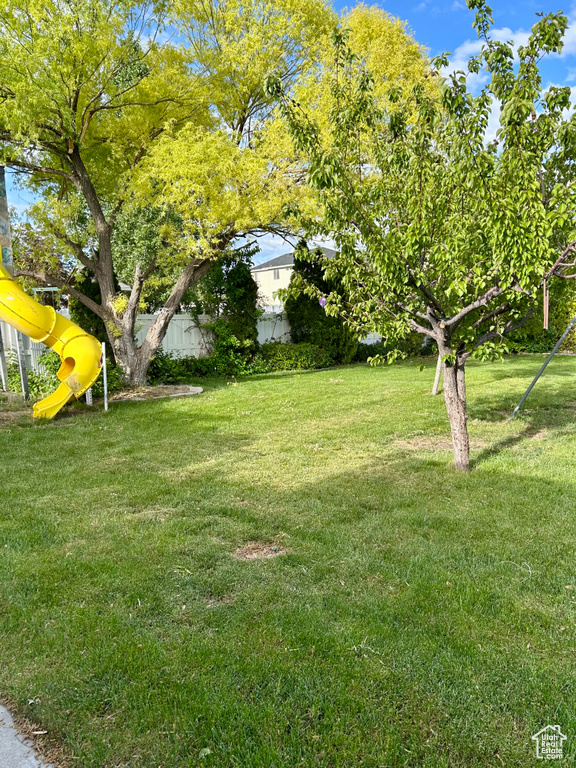 View of grassy yard