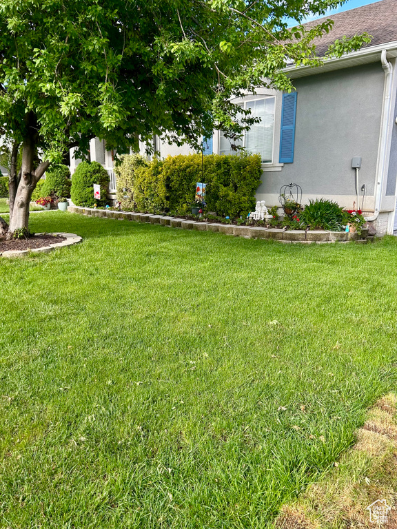 View of green lawn