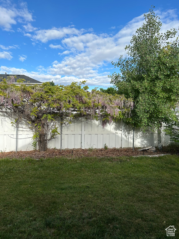 View of grassy yard