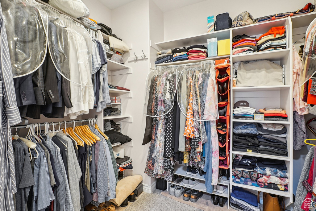 Walk in closet with carpet
