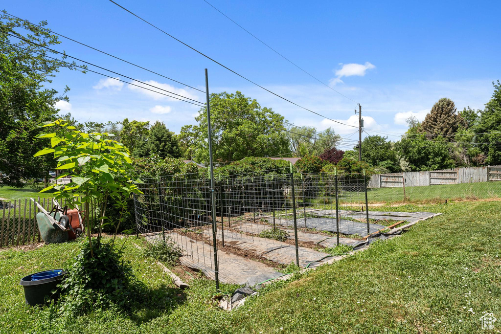 View of yard featuring a vegetable garden