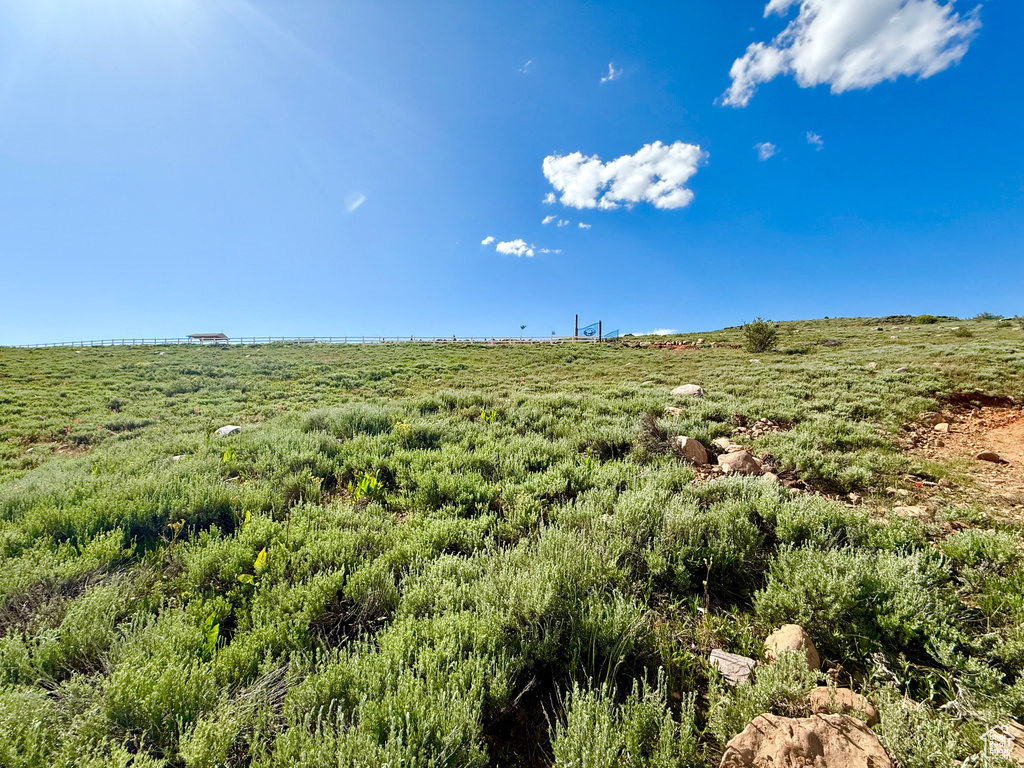 View of local wilderness with rural landscape