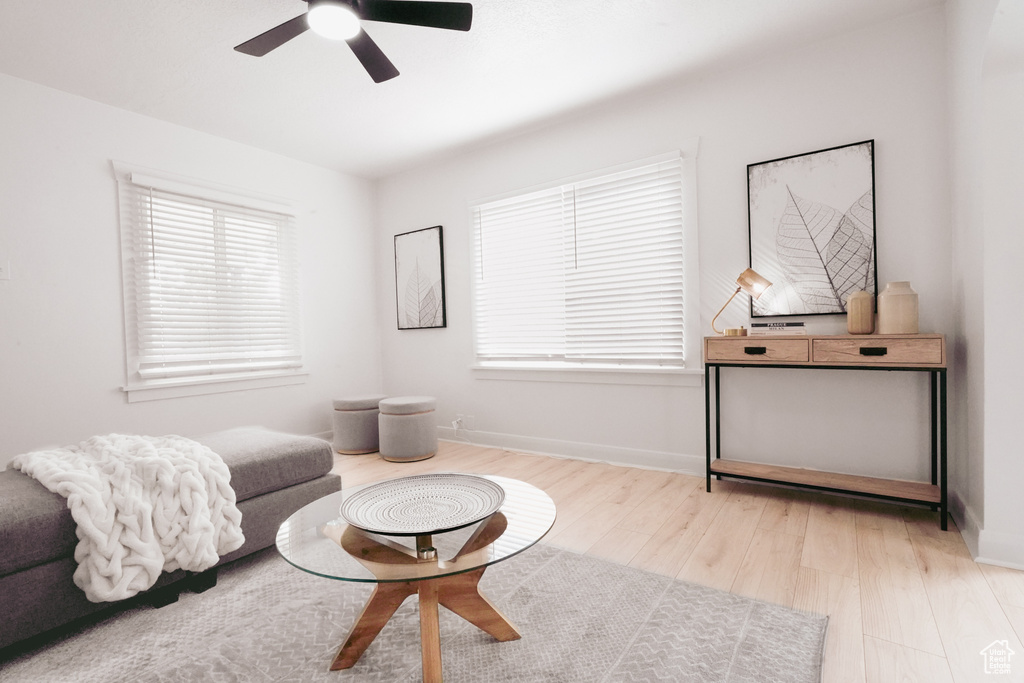Living room featuring ceiling fan, light wood-style flooring, and healthy amount of natural light