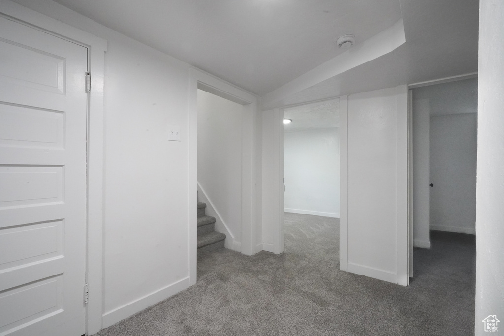 Basement featuring carpet flooring and baseboards
