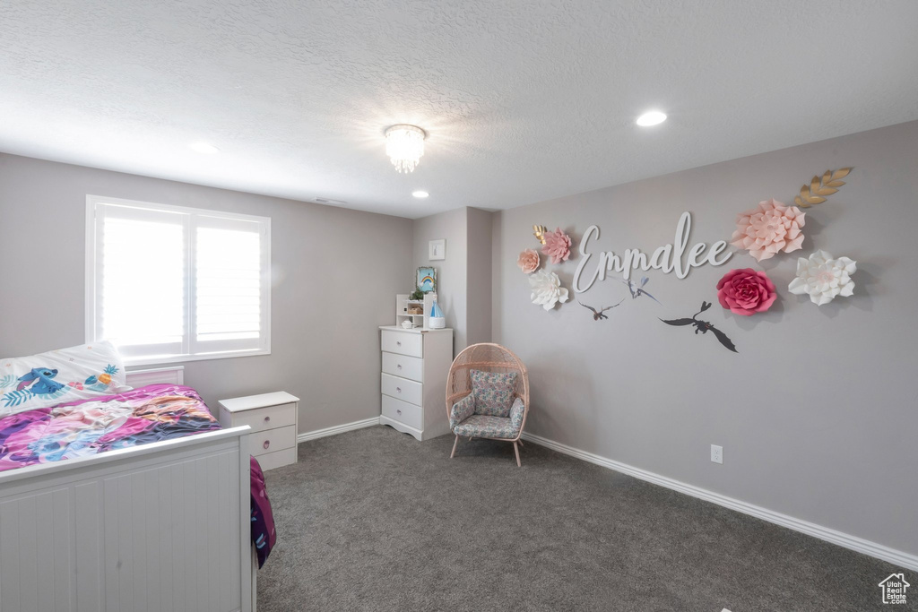 Carpeted bedroom featuring recessed lighting, baseboards, and a textured ceiling