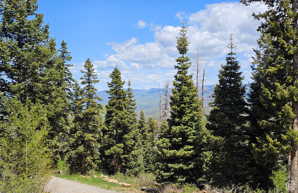 View of mountain background