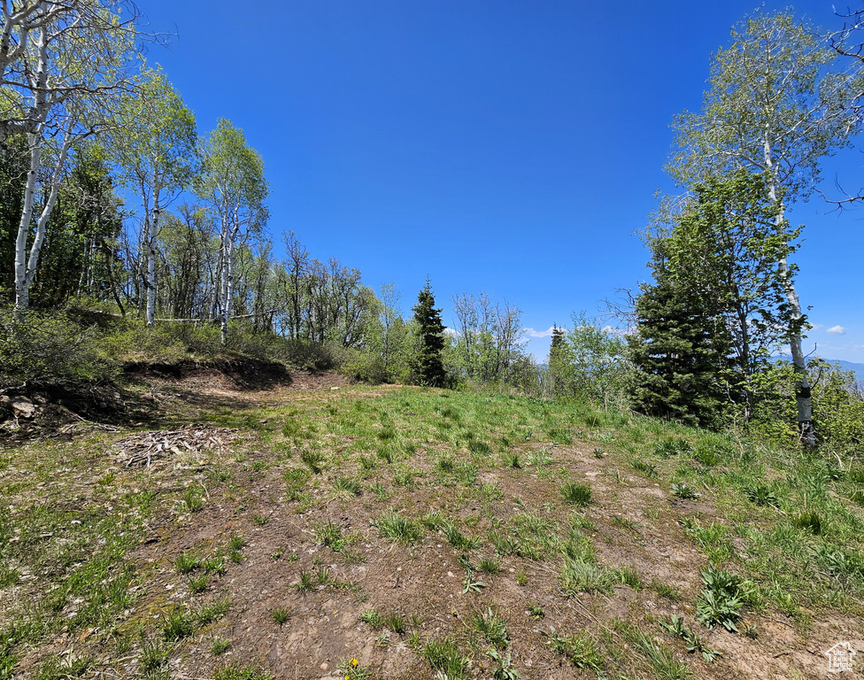 View of nature
