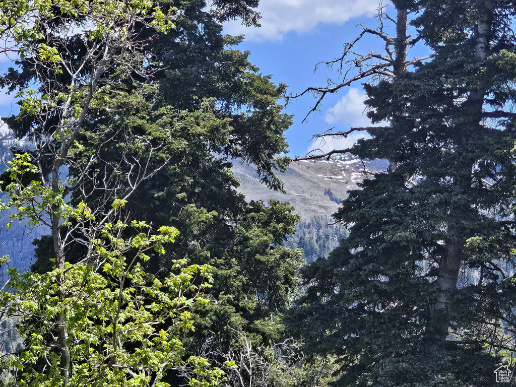 View of mountain backdrop