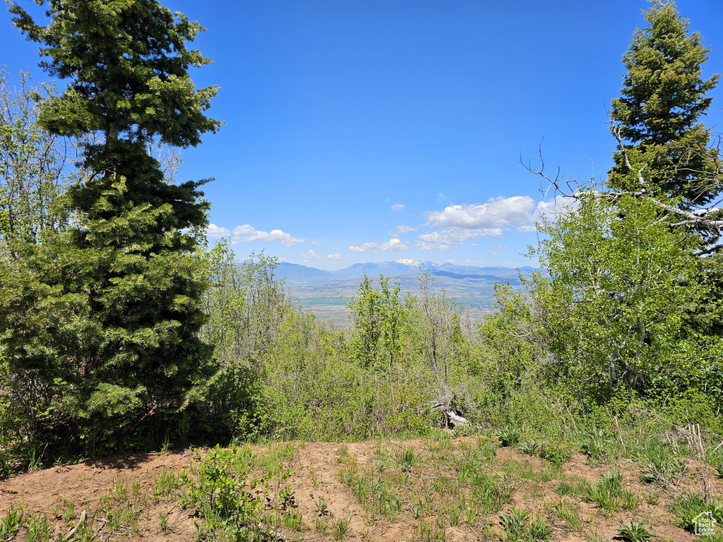View of mountain background