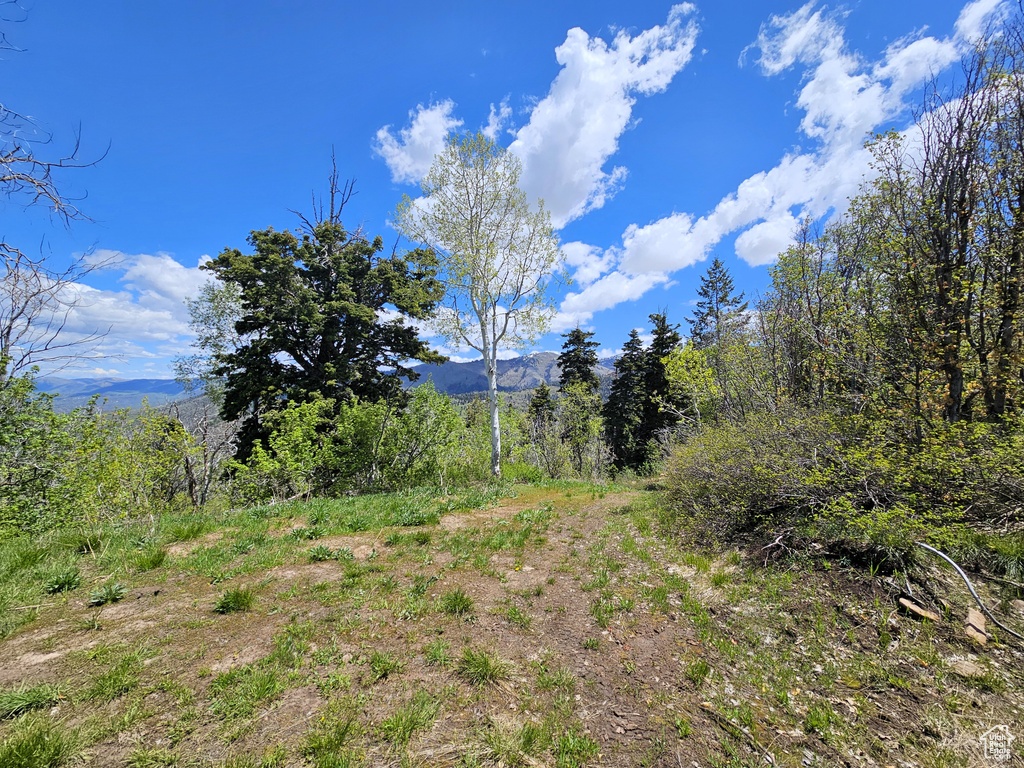 View of yard with a mountain view