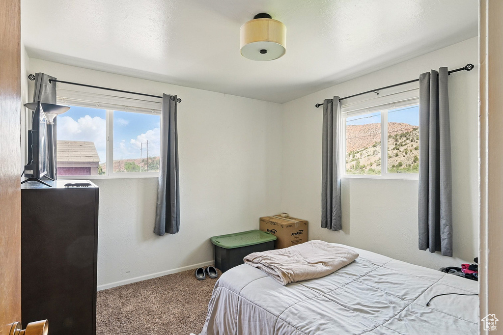 Bedroom with carpet flooring and baseboards