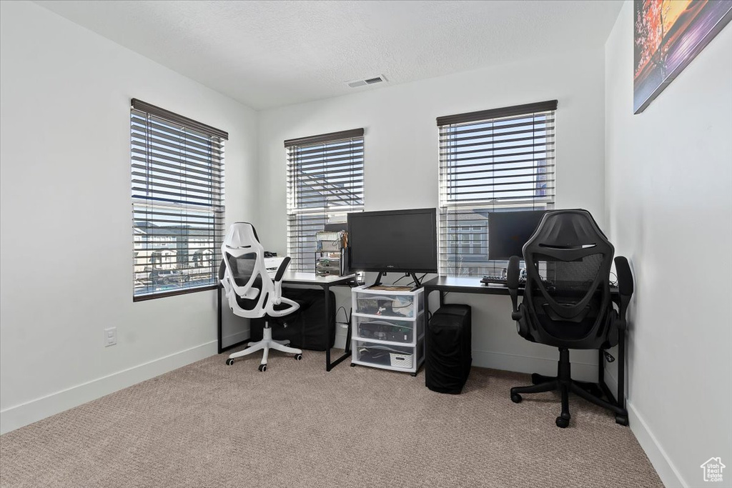 Office area featuring carpet, plenty of natural light, baseboards, and a textured ceiling