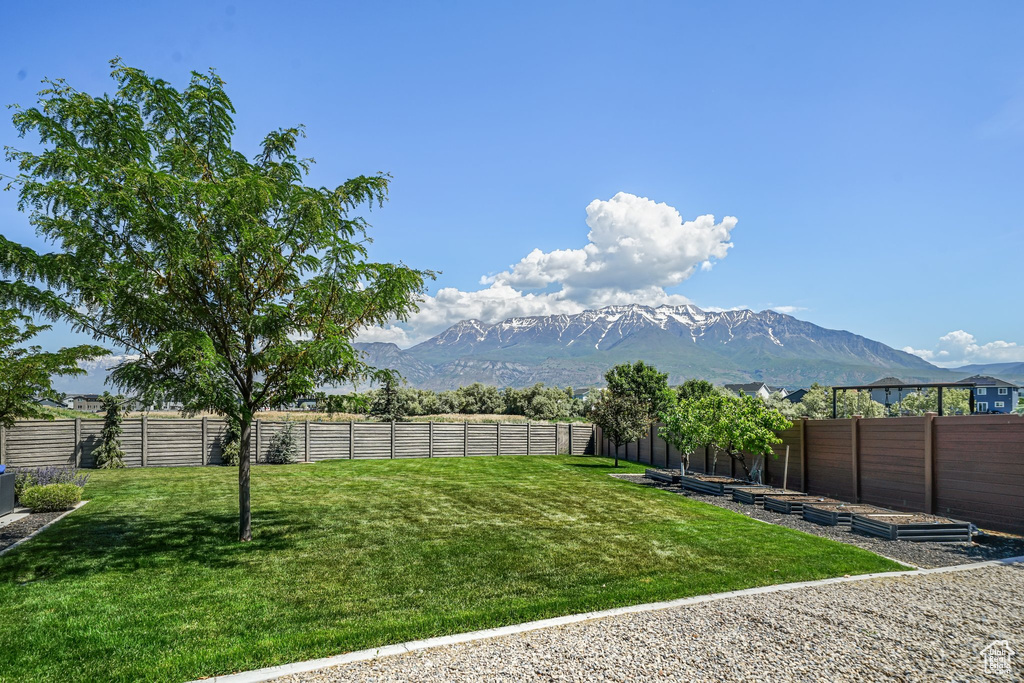 View of yard with a mountain view