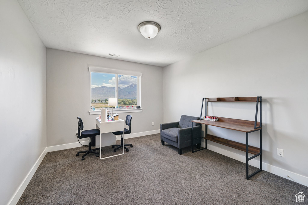 Carpeted office space with a textured ceiling and baseboards