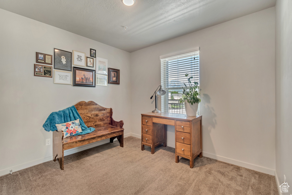 Office featuring light colored carpet and baseboards