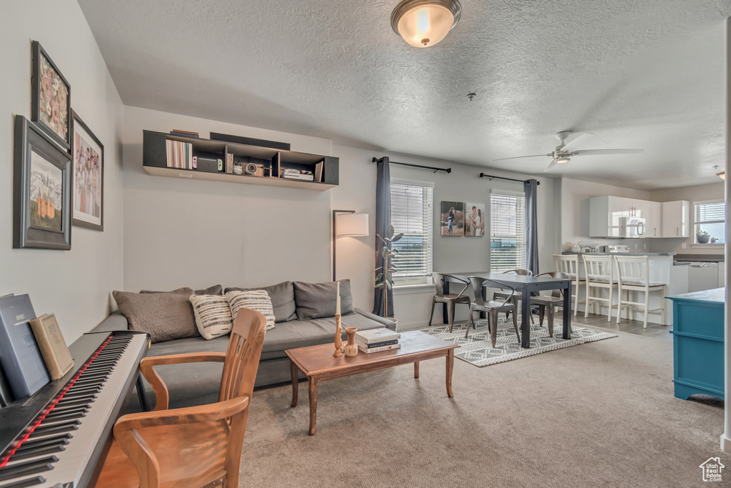 Living area featuring a ceiling fan, a textured ceiling, and carpet flooring