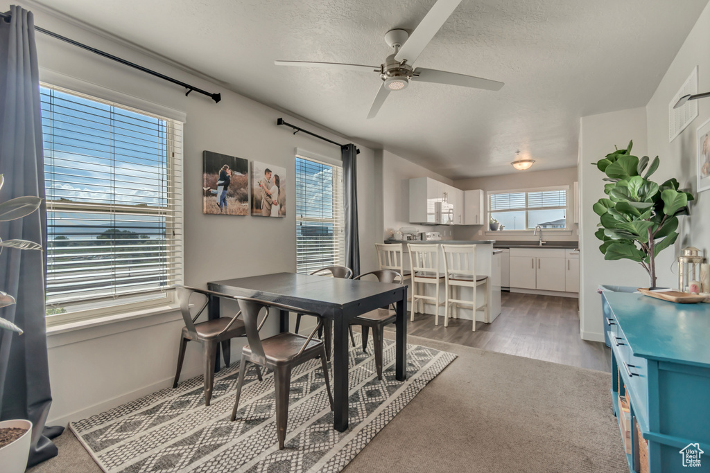 Dining space featuring ceiling fan, a textured ceiling, baseboards, and light wood finished floors